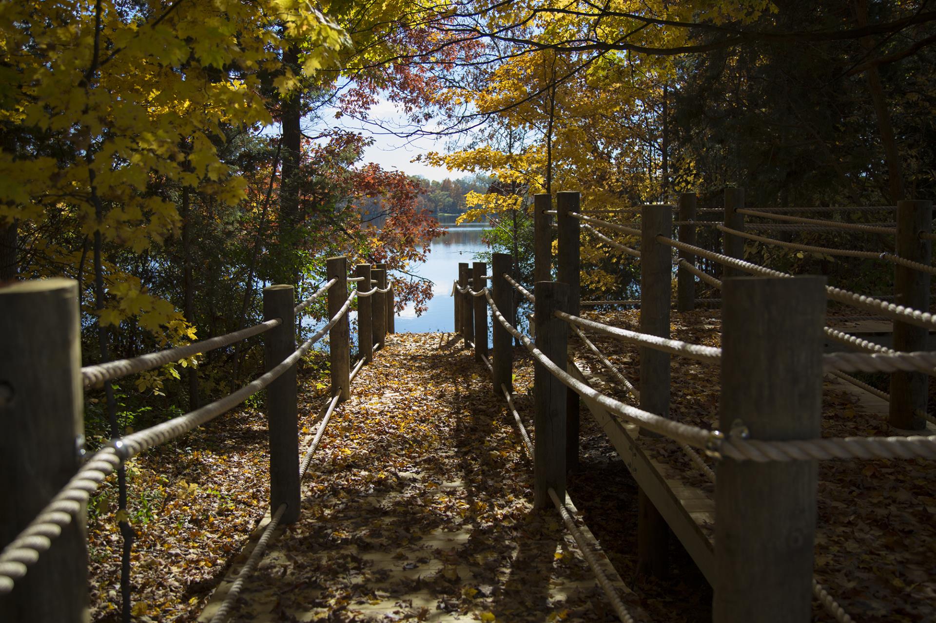 Wooden boardwalk with rope railings descending toward a calm lake surrounded by autumn foliage.