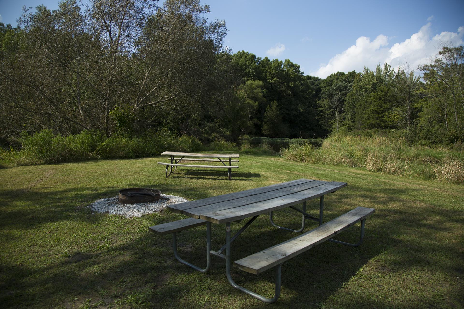 Picnic area with two tables, fire ring, and trees along a grassy field near water.